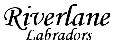 Riverlane Labs logo